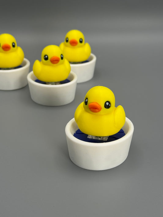 Duck in a Tub Fidget Toy – Satisfying Click Sound | Sensory Toy | Stress Relief