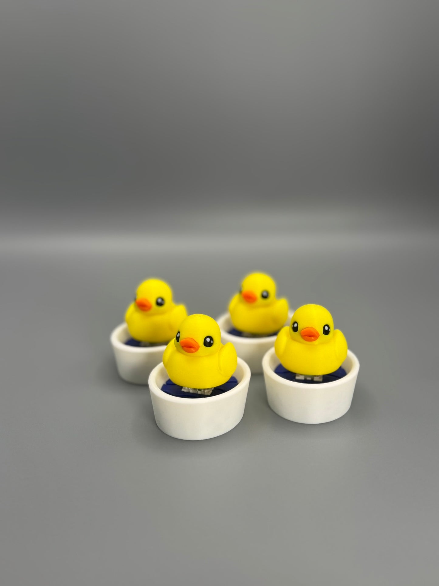 Duck in a Tub Fidget Toy – Satisfying Click Sound | Sensory Toy | Stress Relief