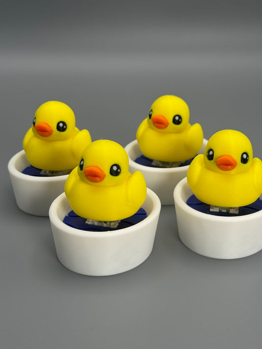 Duck in a Tub Fidget Toy – Satisfying Click Sound | Sensory Toy | Stress Relief