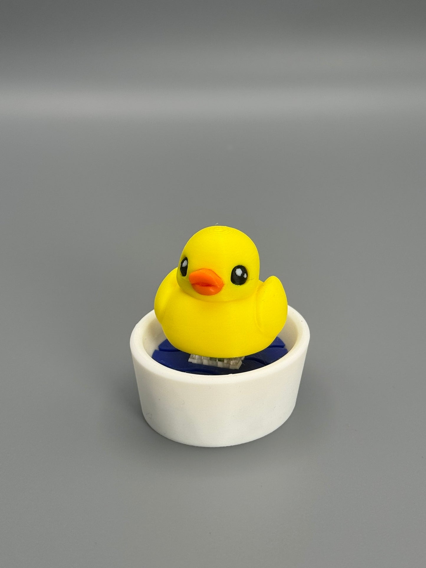 Duck in a Tub Fidget Toy – Satisfying Click Sound | Sensory Toy | Stress Relief