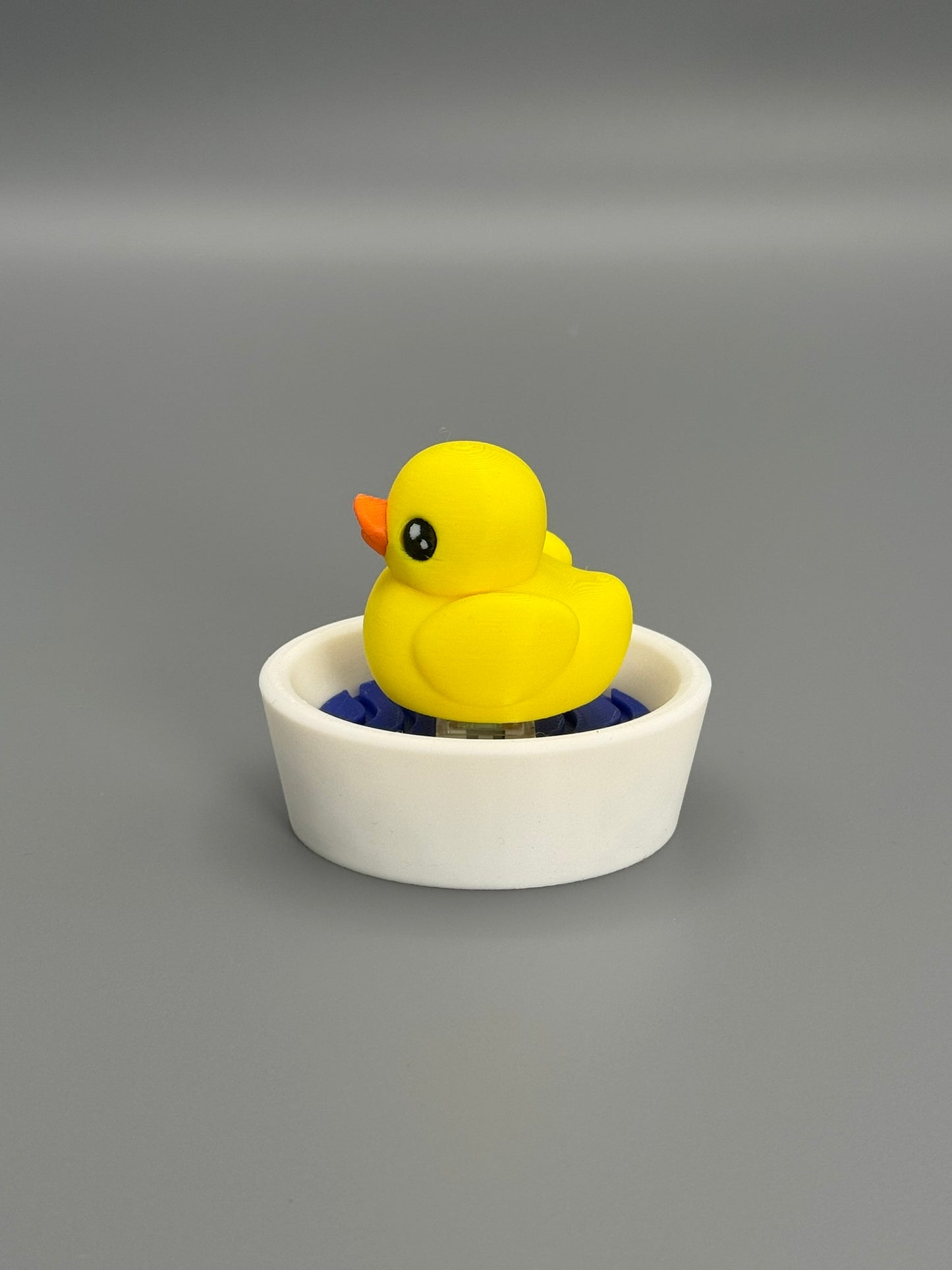 Duck in a Tub Fidget Toy – Satisfying Click Sound | Sensory Toy | Stress Relief