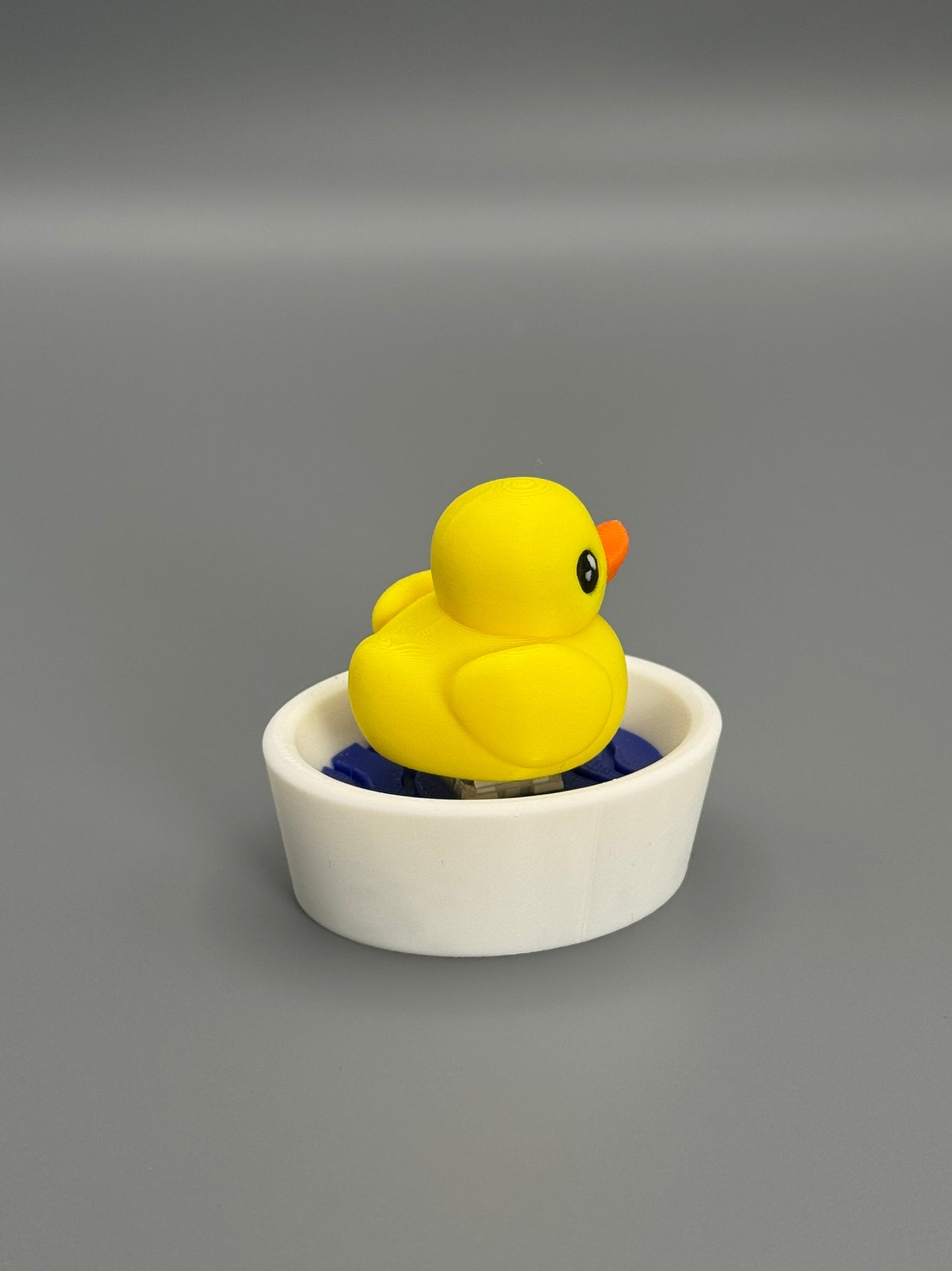 Duck in a Tub Fidget Toy – Satisfying Click Sound | Sensory Toy | Stress Relief