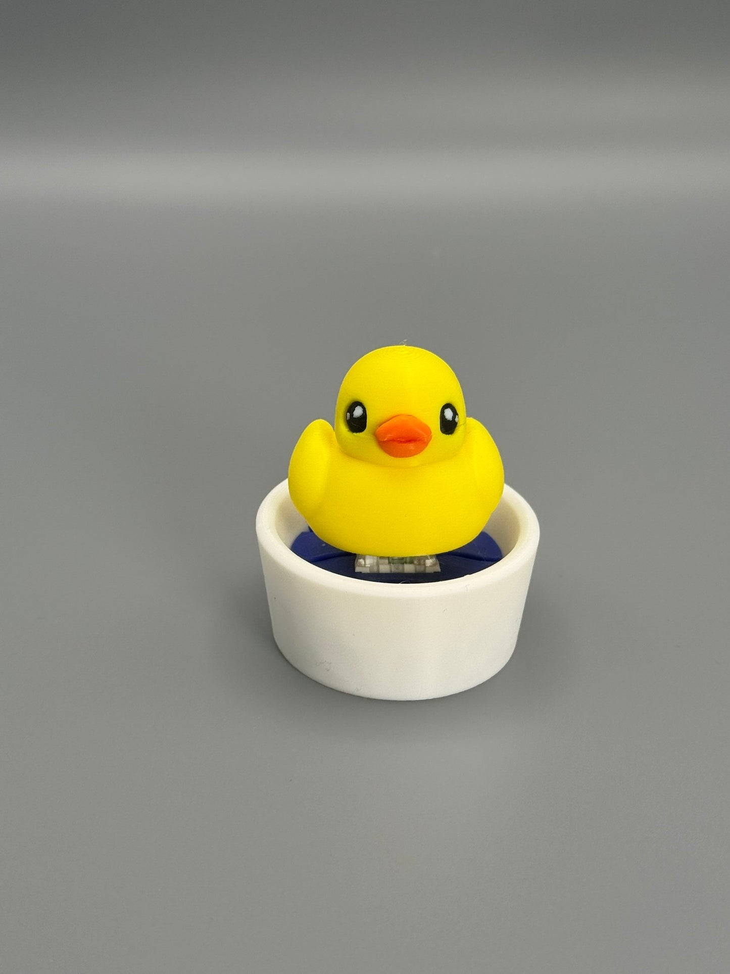 Duck in a Tub Fidget Toy – Satisfying Click Sound | Sensory Toy | Stress Relief
